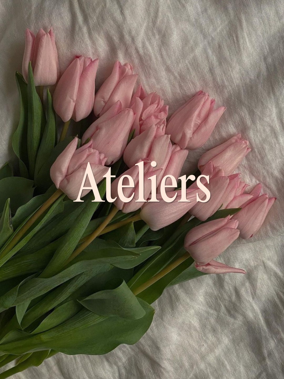 Ateliers découvertes