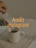Audit instagram